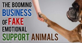 business-fake-support-animals-fb.jpg