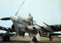 Hawker_Typhoon.jpg