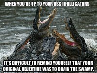 alligators.jpg