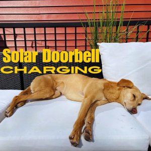 Dog Doorbell.jpg