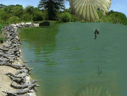 parachute-gators.jpg