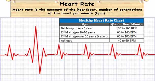 hypertension-bloodpressure-heartrate.jpg