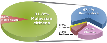 367px-Percentage_distribution_of_Malaysian_population_by_ethnic_group%2C_2010.svg.png